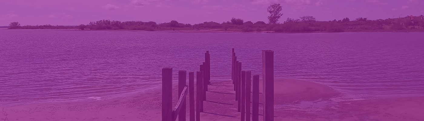 Terminal de Federación